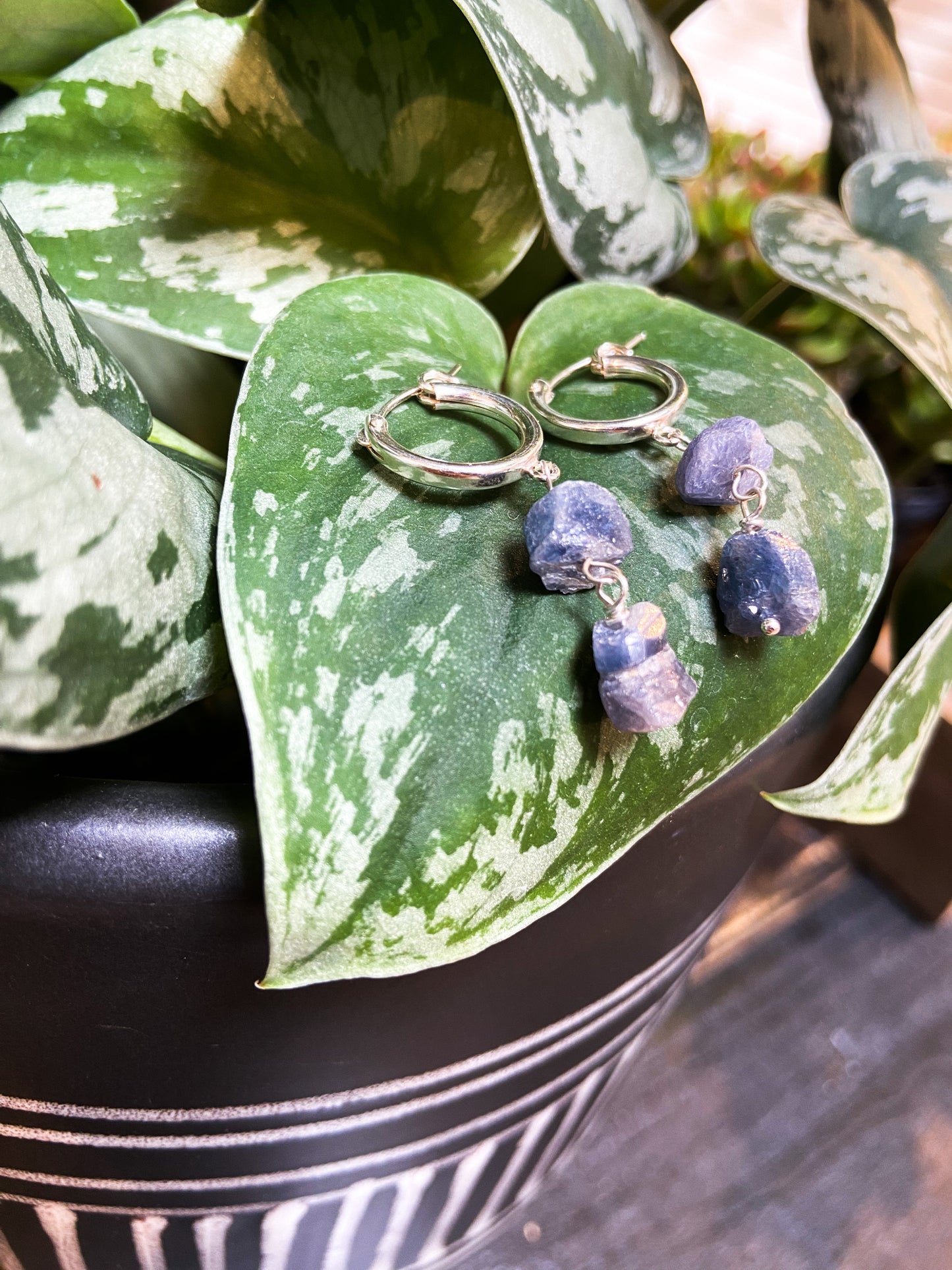 Sapphire Gemmy Earrings