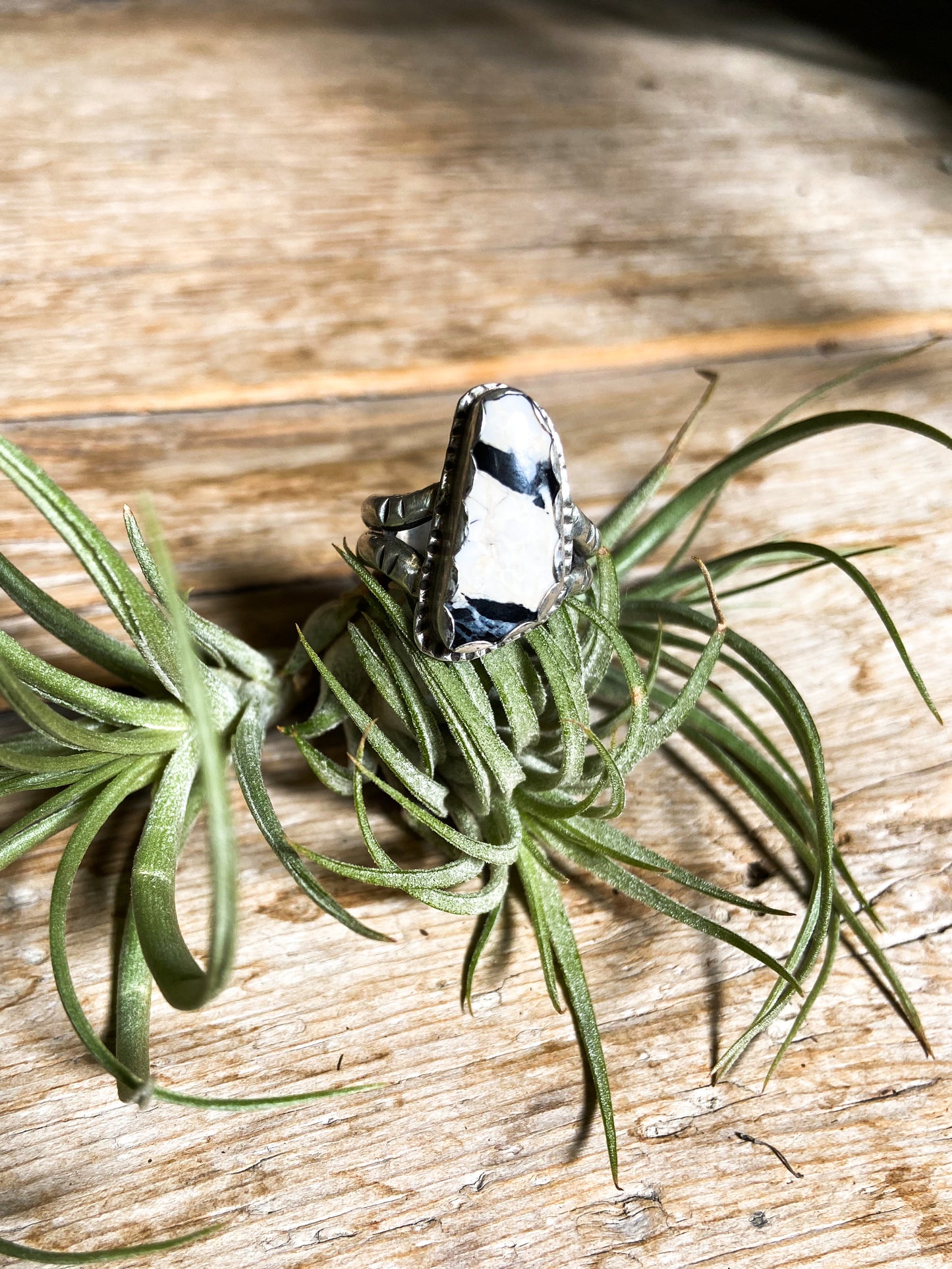 White Buffalo Ring