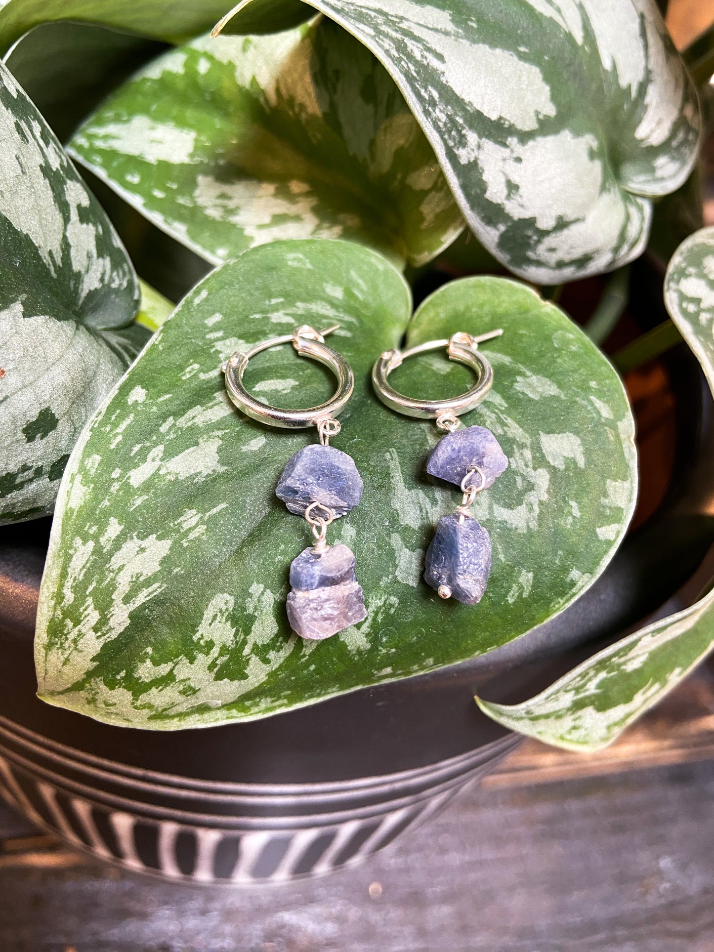 Sapphire Gemmy Earrings