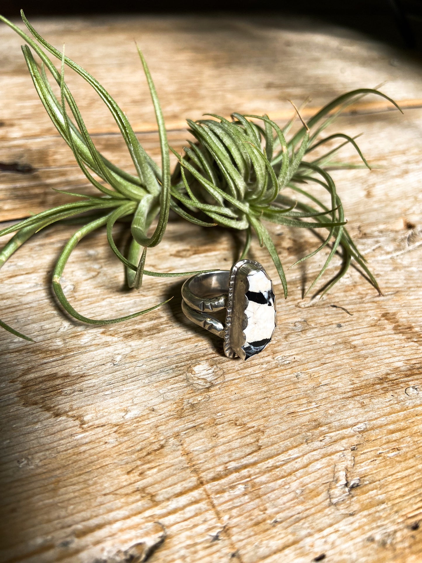 White Buffalo Ring