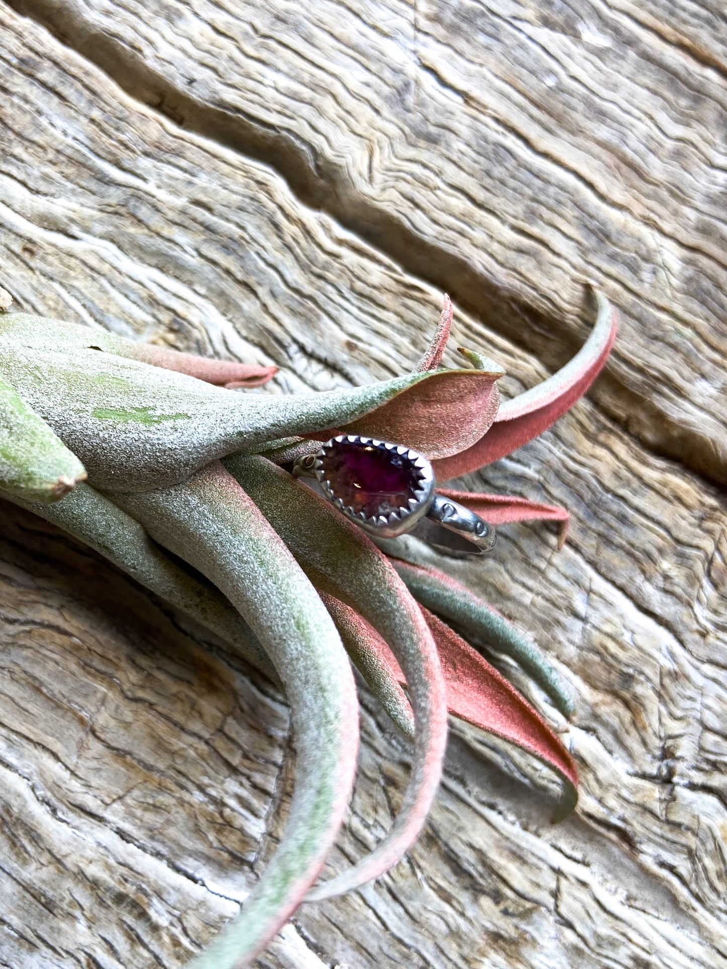 The High Desert Stamped Medallion Ring