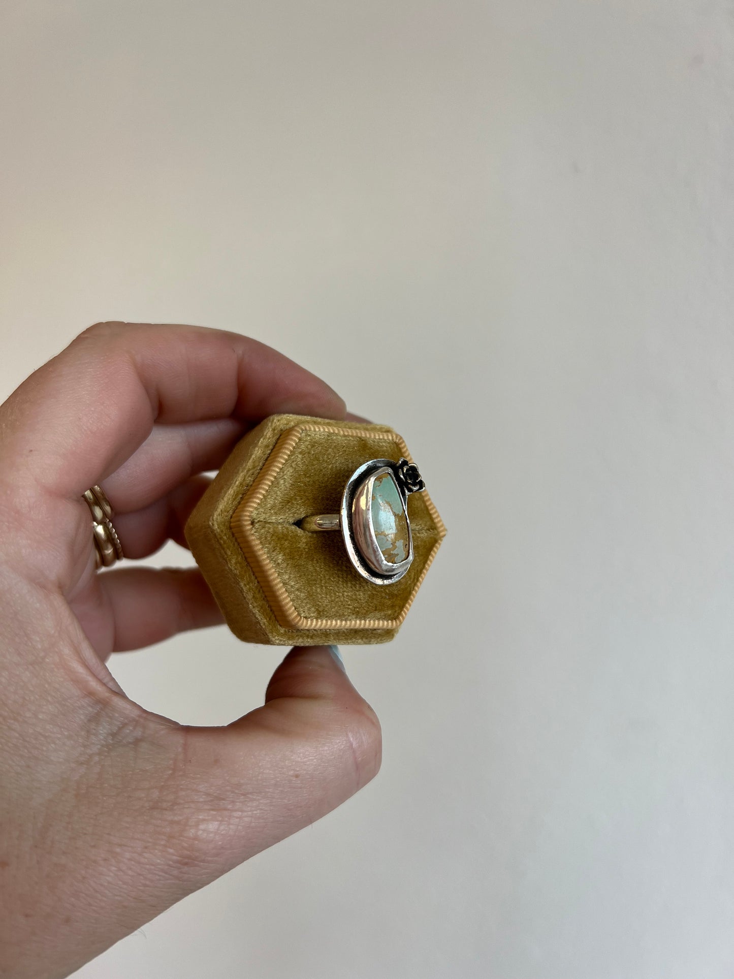 Succulent + Turquoise