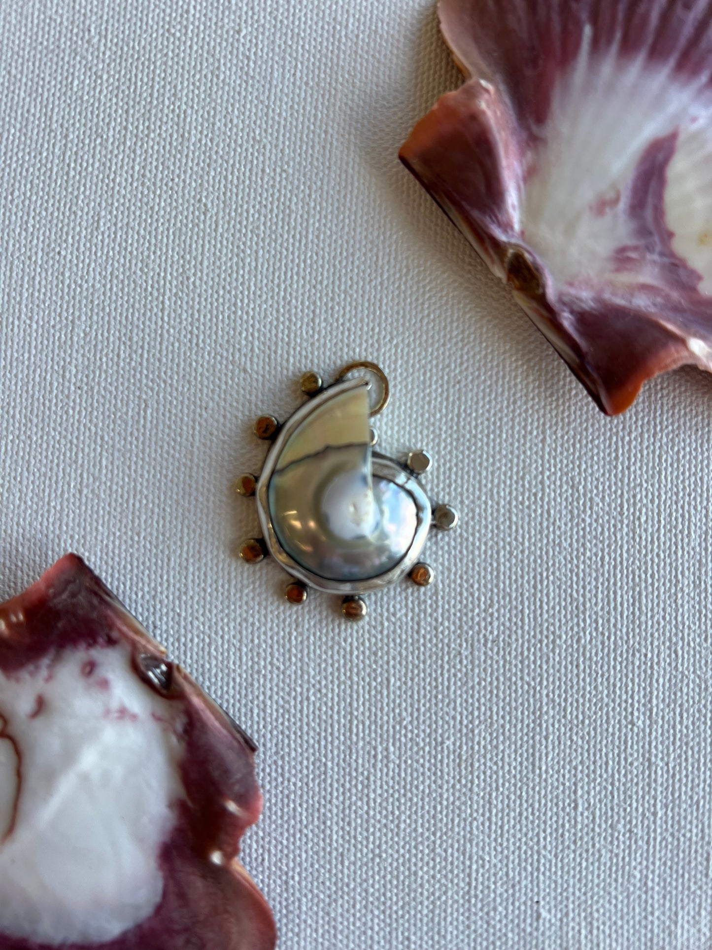 Nautilus Amulette